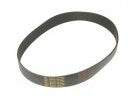 BEL-0002